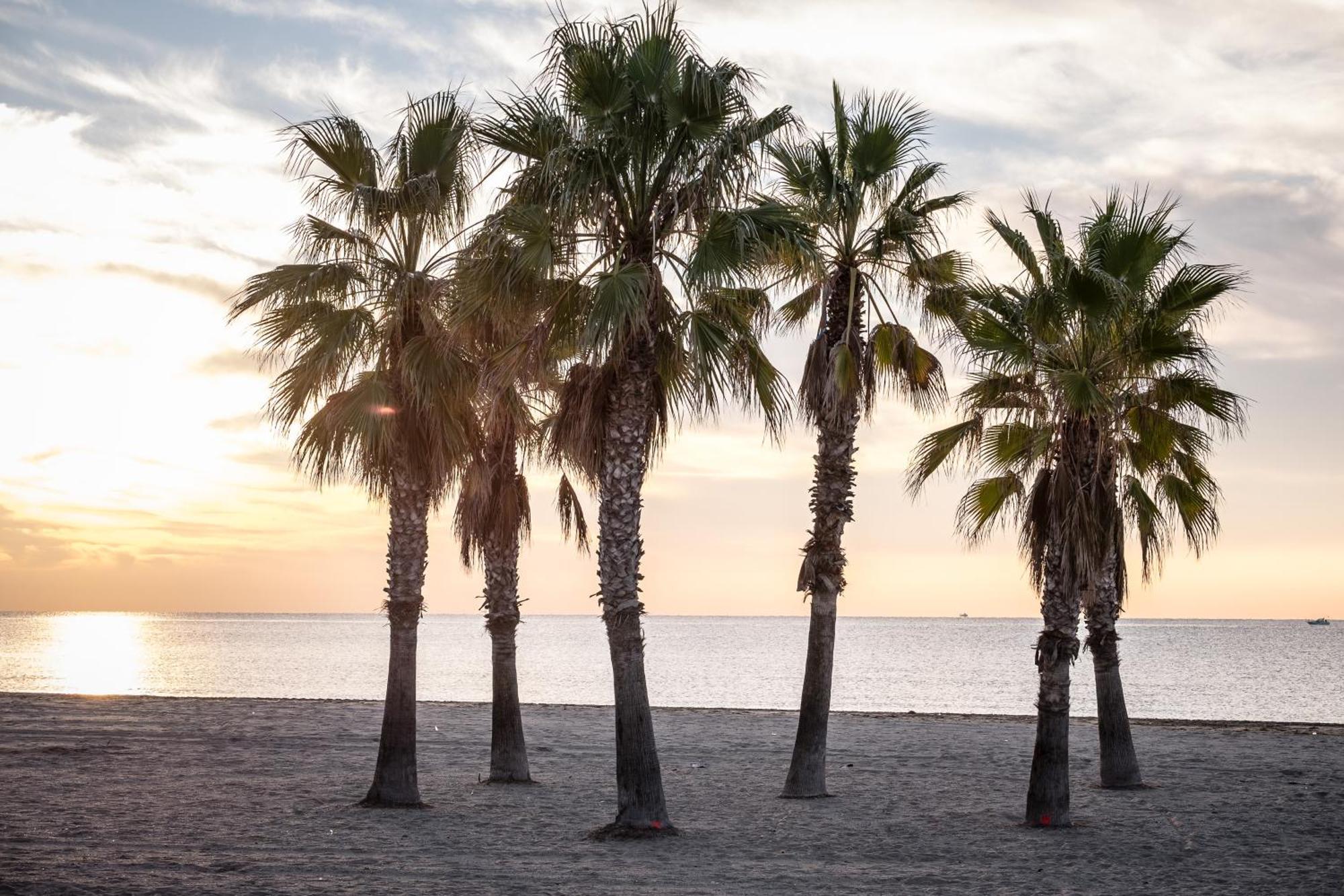 Готель Camping Estival Vendrell Platja Комарруга Екстер'єр фото